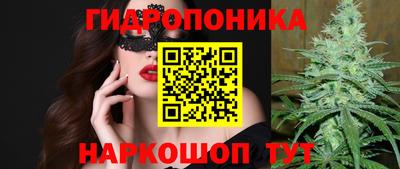 крисы Ефремов
