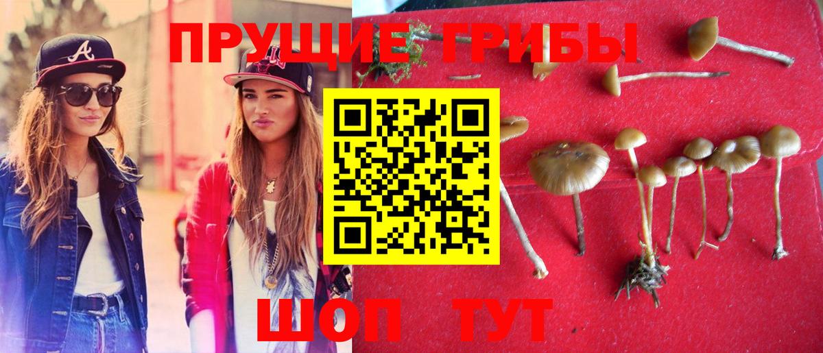 Псилоцибиновые грибы Magic Shrooms Биробиджан