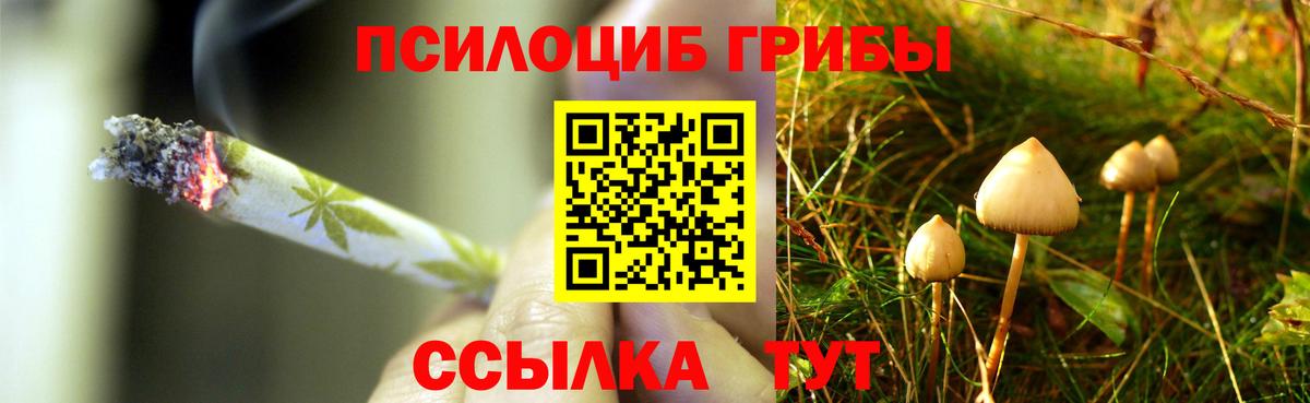 Псилоцибиновые грибы GOLDEN TEACHER  Вход с VPN  Псилоцибиновые грибы MAGIC MUSHROOMS  Биробиджан 